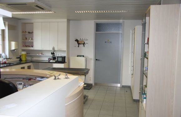 Consultatie 1 + bureau