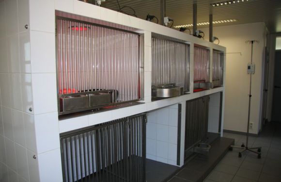 Hospitalisatie