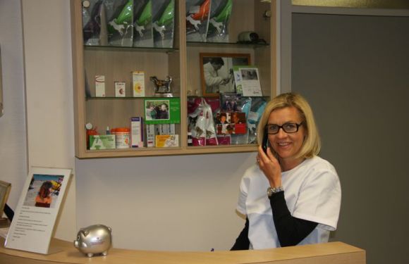 Consultatie 2