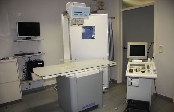 R.X. + echografie